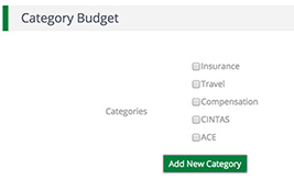 Category Budget