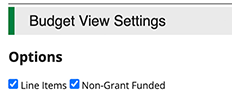 Budget View Settings